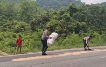 Antisipasi Kecelakaan, Anggota Polres Dharmasraya Sebarkan Serbuk Gergaji ke Tumpahan Solar di Jalinsum Gunung Medan 5 Anggota Polres Dharmasraya Sebarkan Serbuk Gergaji ke Tumpahan Solar di Jalinsum Gunung Medan