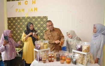 Pemprov Sumbar Siapkan NCH Pangian Sebagai Pusat Ekonomi Kreatif Nagari 5 Sekdaprov Sumbar, Arry Yuswandi meninjau lokasi NCH Pangian