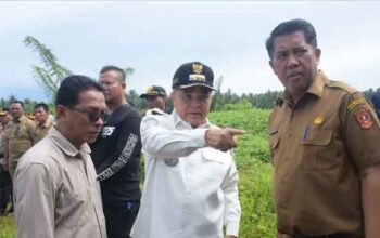 Pembangunan Dipercepat, Bupati Agam Tinjau Land Clearing 440 Unit Huntap di Padang Mardani 4 Bupati Agam Tinjau Land Clearing 440 Unit Huntap di Padang Mardani, Nagari Manggopoh