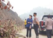 Bupati Dharmasraya Tinjau Bekas Karhutla di Timpeh: 5,9 Ha Telah Ditanami Sawit