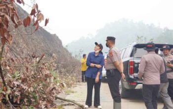 Bupati Dharmasraya, Annisa Suci Ramadhani bersama Kapolres AKBP Kartyana Widyarso Wardoyo Putrotinjau bekas Karhutla di Timpeh
