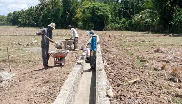 Kadis Pertanian Agam Monitoring Pembangunan Irigasi Banda Rambun, Progres Mendekati 90 Persen