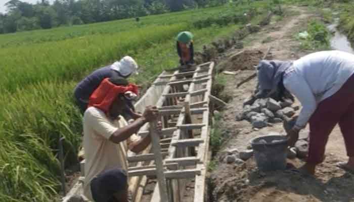 Kadis Pertanian Agam Monitoring Pembangunan Irigasi Banda Rambun, Progres Mendekati 90 Persen 3 Pembangunan infrastruktur irigasi pertanian Banda Rambun di Nagari Sungai Batang, Kecamatan Tanjung Raya, Kabupaten Agam, Sumatera Barat
