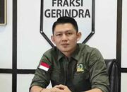 Maraknya Kekerasan terhadap Perempuan dan Anak di Solok Selatan, Begini Saran Mario Syahjohan