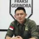 Maraknya Kekerasan terhadap Perempuan dan Anak di Solok Selatan, Begini Saran Mario Syahjohan