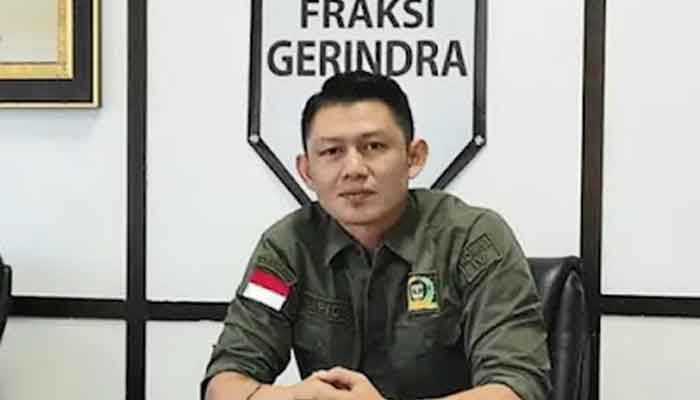 Maraknya Kekerasan terhadap Perempuan dan Anak di Solok Selatan, Begini Saran Mario Syahjohan