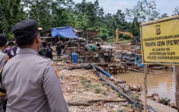 Tambang Emas Tanpa Izin di Kawasan Muaro Mou Sungai Kambut dan Persoalan Penertibannya