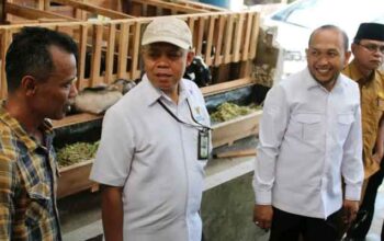 Pemkab Padang Pariaman Bersama Baznas Berdayakan Ekonomi Masyarakt melalui Program Balai Ternak 7 Pemkab Padang Pariaman Bersama Baznas Berdayakan Ekonomi Masyarakt melalui Program Balai Ternak