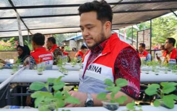 Program Si Pelaut Pertamina Patra Niaga Regional Sumbagut di Kampung Tue Terih, Kelurahan Sambau, Kecamatan Nongsa, Kota Batam, Kepulauan Riau (Kepri)