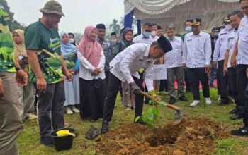 Aksi penanaman pohon serentak Pemprov Sumbar bersama Pemkab Solok Selatan