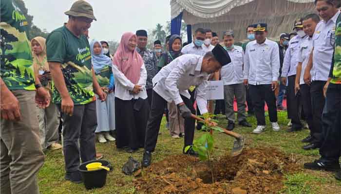 Aksi penanaman pohon serentak Pemprov Sumbar bersama Pemkab Solok Selatan