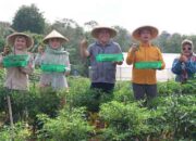 Sekda Bintan Dukung Pengembangan Pertanian, Poktan Barokah Kembangkan Komoditas dan Optimalkan Lahan