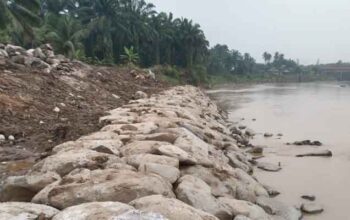 Tanggul Batang Pasaman Mulai Dikerjakan, Warga Pasir Tampang Pasbar Sambut Harapan Baru 5 Tanggul Batang Pasaman di Kampung Pasir Tampang, Nagari Aia Gadang Barat, Kecamatan Pasaman, Kabupaten Pasaman Barat (Pasbar)